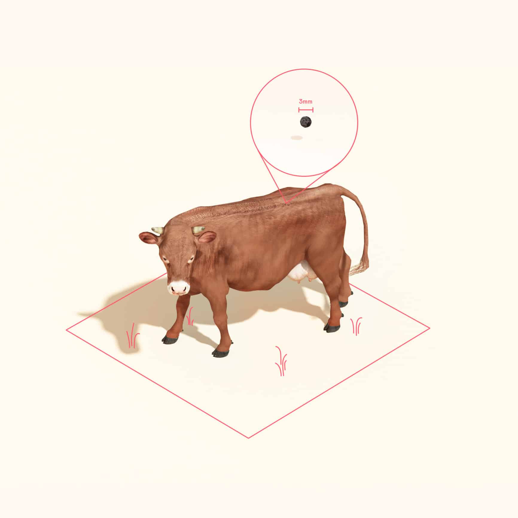 Lab-grown meat process