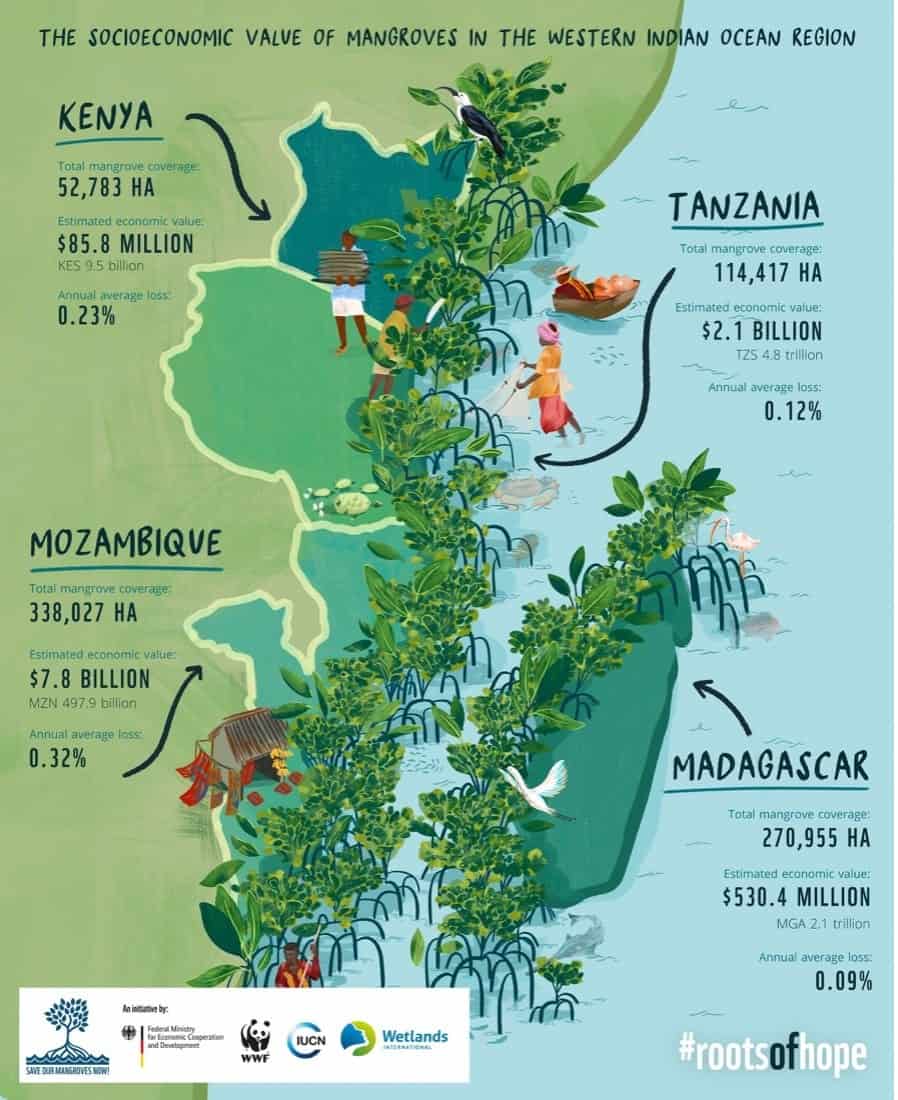 A map of the socioeconomic value of mangroves in the Western Indian Ocean Region