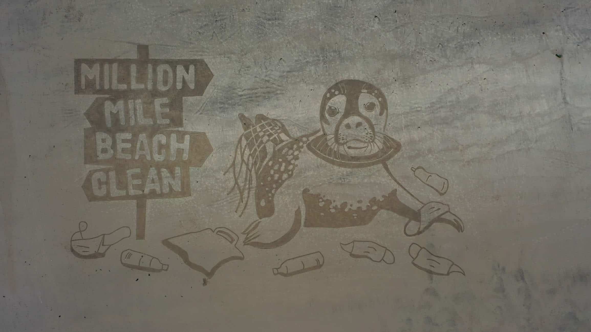 Aerial photo of a seal drawn in the sand and a sign that says "Million mile beach clean"