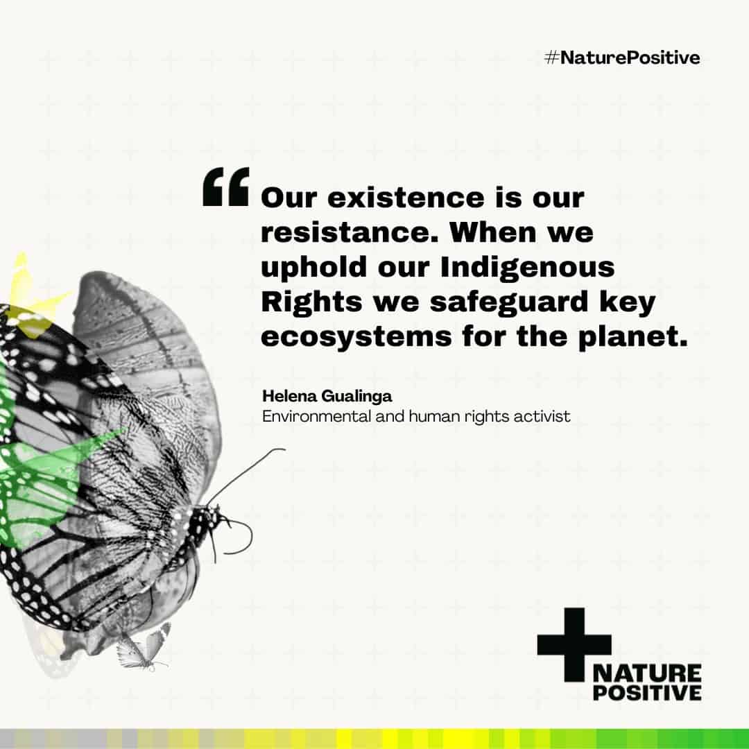 Quote by Helena Gualinga on nature positive