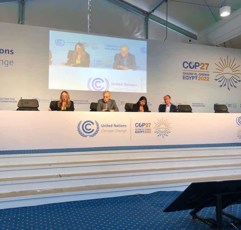 Panel at COP27