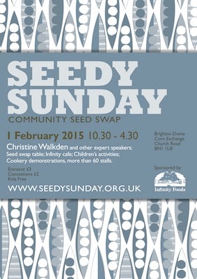 Seedy Sunday poster